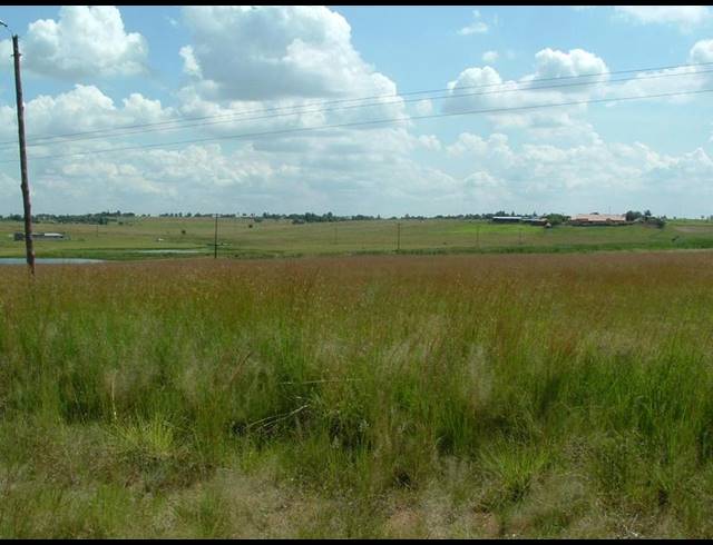 LAND FOR SALE IN THREE RIVERS